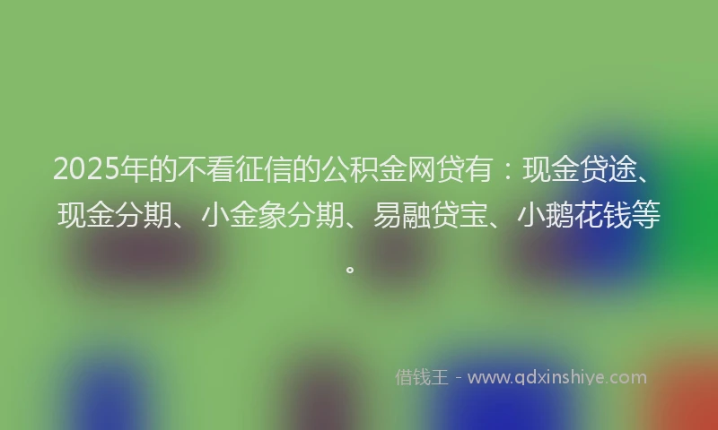 2025年的不看征信的公积金网贷有：现金贷途、现金分期、小金象分期、易融贷宝、小鹅花钱等。