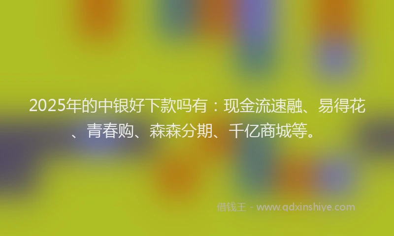 2025年的中银好下款吗有：现金流速融、易得花、青春购、森森分期、千亿商城等。