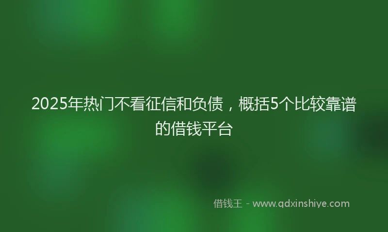 2025年热门不看征信和负债，概括5个比较靠谱的借钱平台