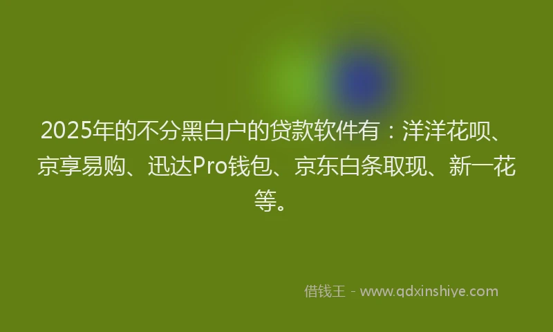 2025年的不分黑白户的贷款软件有：洋洋花呗、京享易购、迅达Pro钱包、京东白条取现、新一花等。