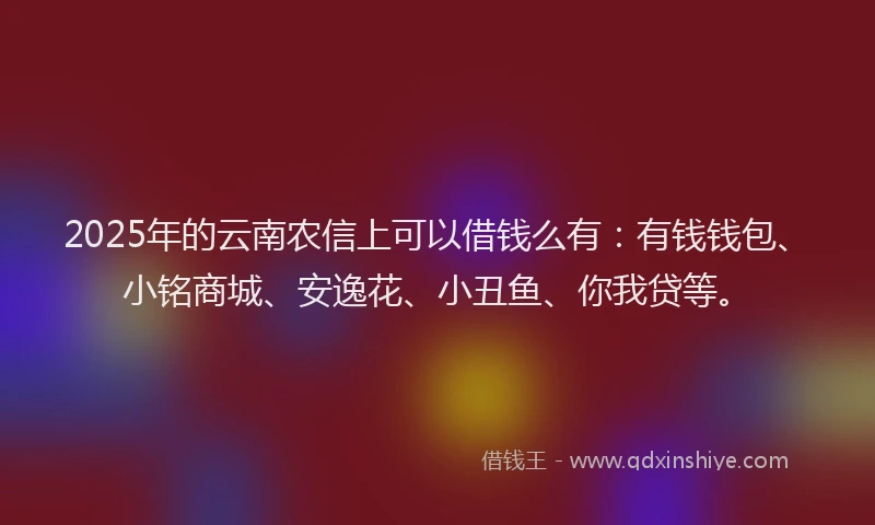 2025年的云南农信上可以借钱么有：有钱钱包、小铭商城、安逸花、小丑鱼、你我贷等。