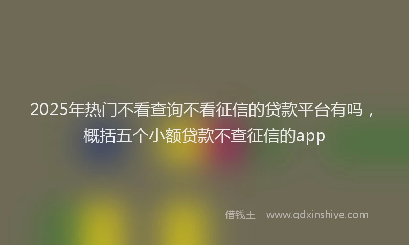 2025年热门不看查询不看征信的贷款平台有吗，概括五个小额贷款不查征信的app