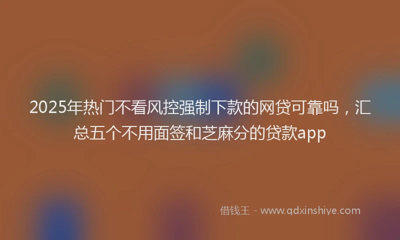2025年热门不看风控强制下款的网贷可靠吗，汇总五个不用面签和芝麻分的贷款app
