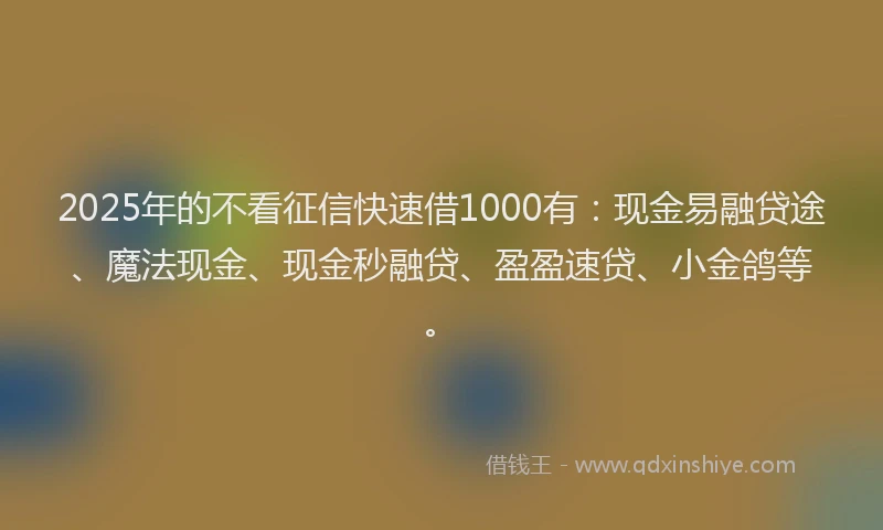2025年的不看征信快速借1000有：现金易融贷途、魔法现金、现金秒融贷、盈盈速贷、小金鸽等。
