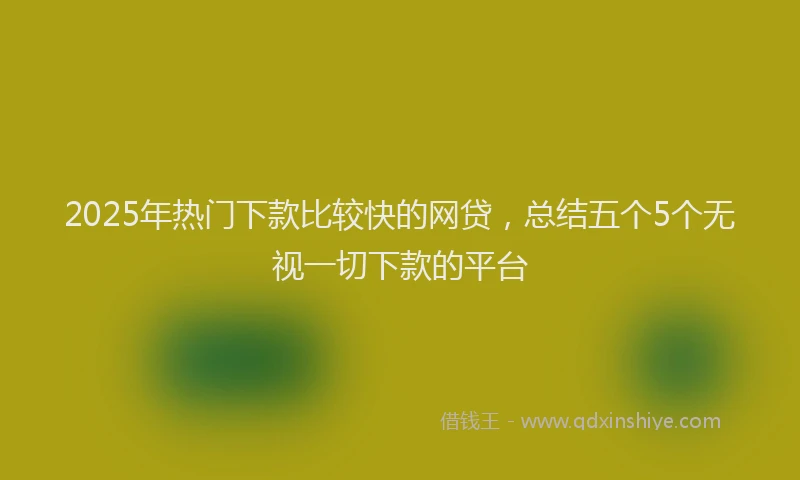 2025年热门下款比较快的网贷，总结五个5个无视一切下款的平台