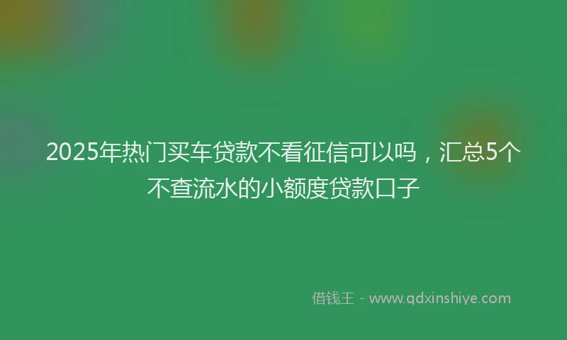 2025年热门买车贷款不看征信可以吗，汇总5个不查流水的小额度贷款口子