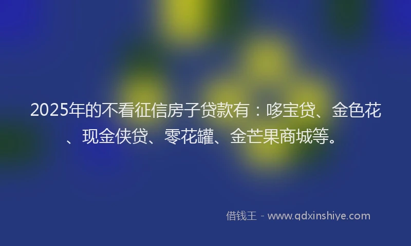 2025年的不看征信房子贷款有：哆宝贷、金色花、现金侠贷、零花罐、金芒果商城等。