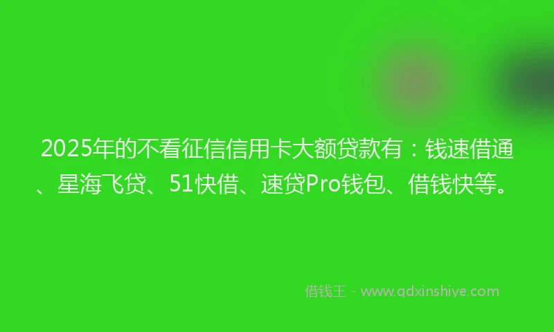 2025年的不看征信信用卡大额贷款有：钱速借通、星海飞贷、51快借、速贷Pro钱包、借钱快等。