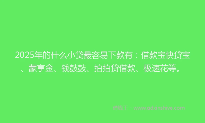 2025年的什么小贷最容易下款有：借款宝快贷宝、蒙享金、钱鼓鼓、拍拍贷借款、极速花等。