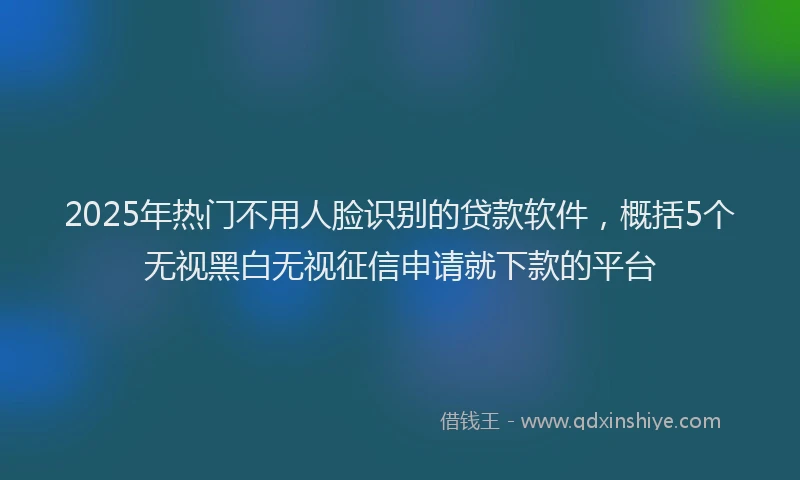 2025年热门不用人脸识别的贷款软件，概括5个无视黑白无视征信申请就下款的平台