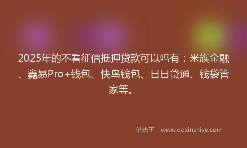 2025年的不看征信抵押贷款可以吗有：米族金融、鑫易Pro+钱包、快鸟钱包、日日贷通、钱袋管家等。