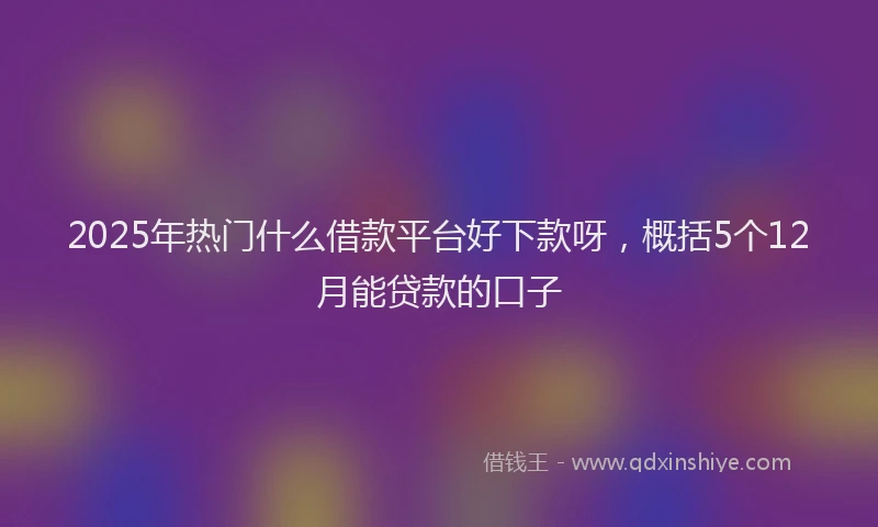 2025年热门什么借款平台好下款呀，概括5个12月能贷款的口子
