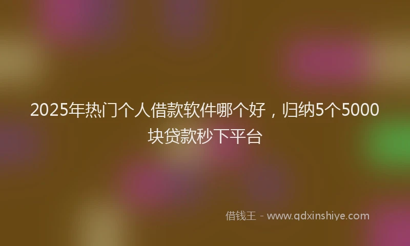 2025年热门个人借款软件哪个好，归纳5个5000块贷款秒下平台