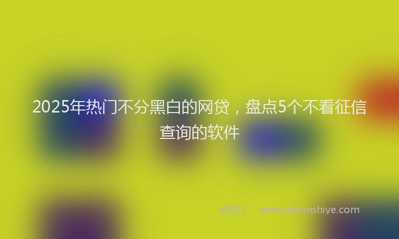 2025年热门不分黑白的网贷，盘点5个不看征信查询的软件