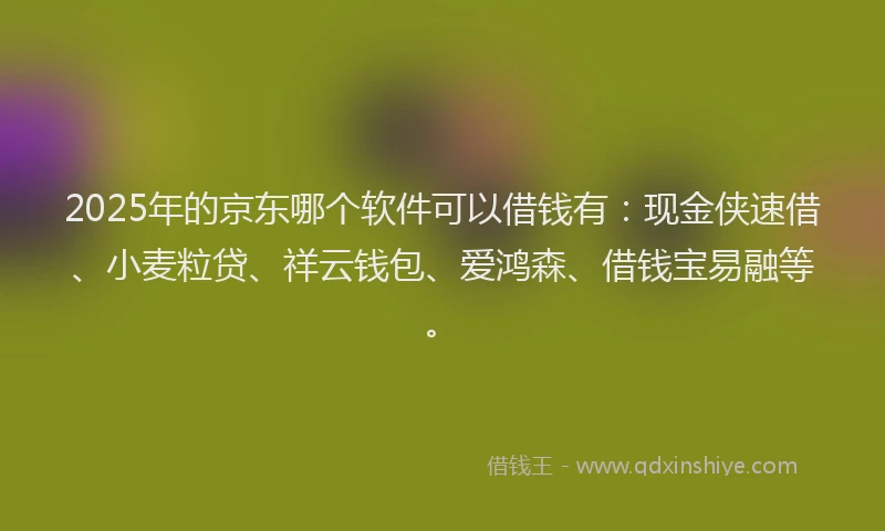 2025年的京东哪个软件可以借钱有：现金侠速借、小麦粒贷、祥云钱包、爱鸿森、借钱宝易融等。