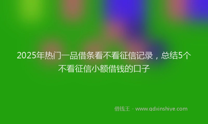 2025年热门一品借条看不看征信记录，总结5个不看征信小额借钱的口子