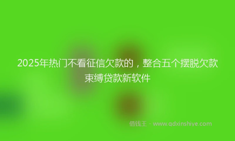 2025年热门不看征信欠款的，整合五个摆脱欠款束缚贷款新软件