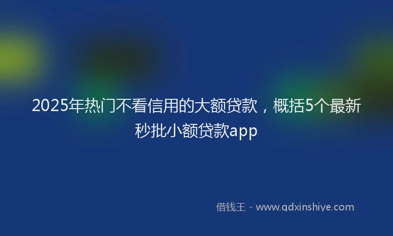 2025年热门不看信用的大额贷款，概括5个最新秒批小额贷款app