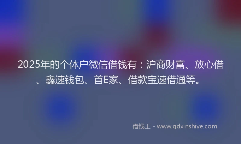 2025年的个体户微信借钱有：沪商财富、放心借、鑫速钱包、首E家、借款宝速借通等。