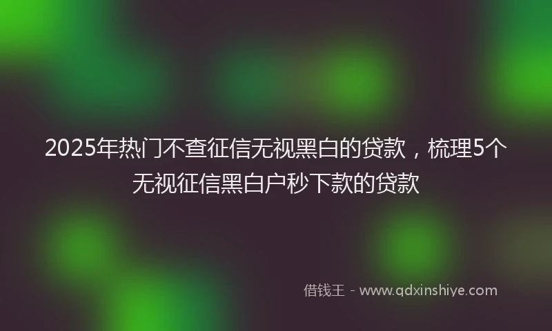 2025年热门不查征信无视黑白的贷款，梳理5个无视征信黑白户秒下款的贷款