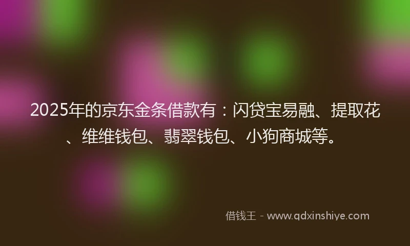 2025年的京东金条借款有：闪贷宝易融、提取花、维维钱包、翡翠钱包、小狗商城等。