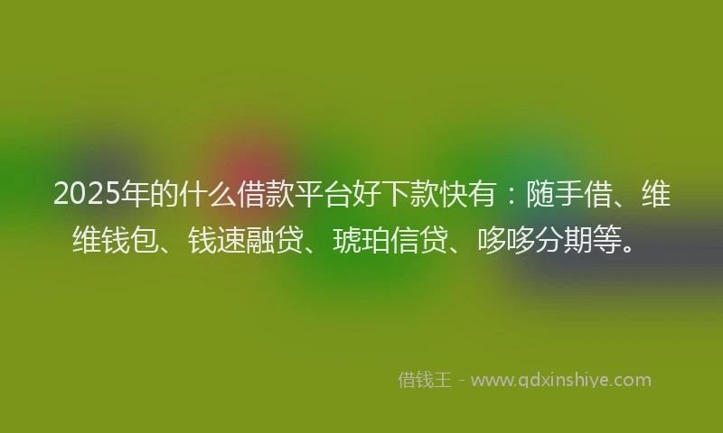 2025年的什么借款平台好下款快有：随手借、维维钱包、钱速融贷、琥珀信贷、哆哆分期等。