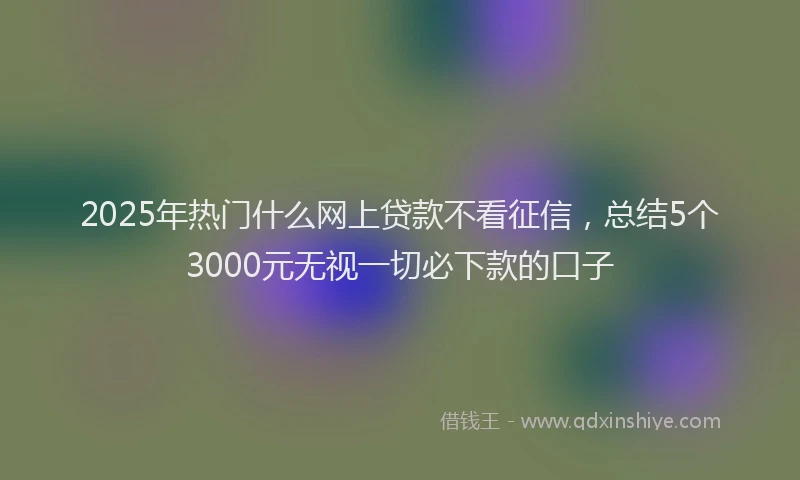 2025年热门什么网上贷款不看征信，总结5个3000元无视一切必下款的口子