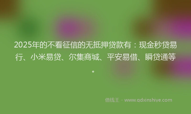2025年的不看征信的无抵押贷款有：现金秒贷易行、小米易贷、尔集商城、平安易借、瞬贷通等。