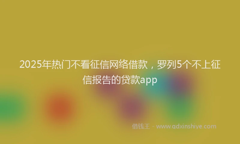 2025年热门不看征信网络借款，罗列5个不上征信报告的贷款app