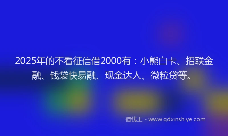 2025年的不看征信借2000有：小熊白卡、招联金融、钱袋快易融、现金达人、微粒贷等。