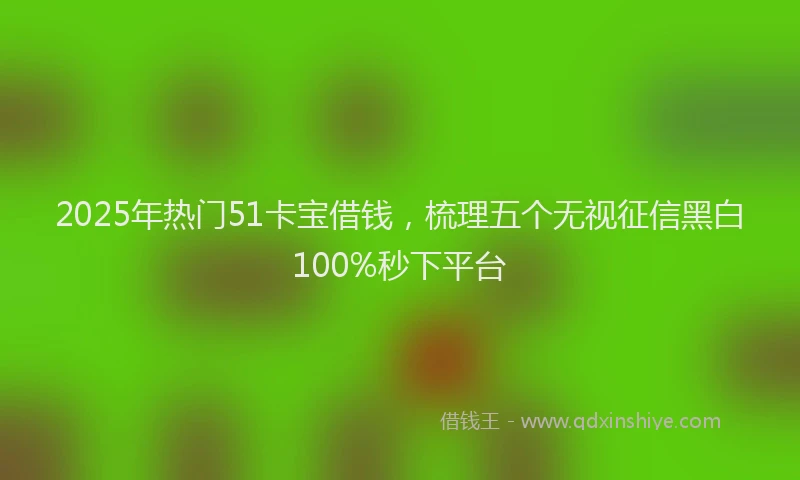 2025年热门51卡宝借钱，梳理五个无视征信黑白100%秒下平台