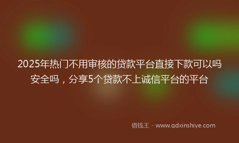 2025年热门不用审核的贷款平台直接下款可以吗安全吗，分享5个贷款不上诚信平台的平台