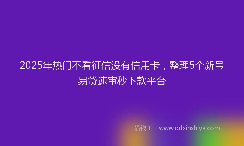 2025年热门不看征信没有信用卡，整理5个新号易贷速审秒下款平台