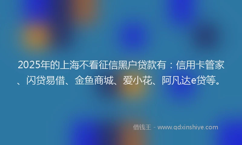 2025年的上海不看征信黑户贷款有：信用卡管家、闪贷易借、金鱼商城、爱小花、阿凡达e贷等。