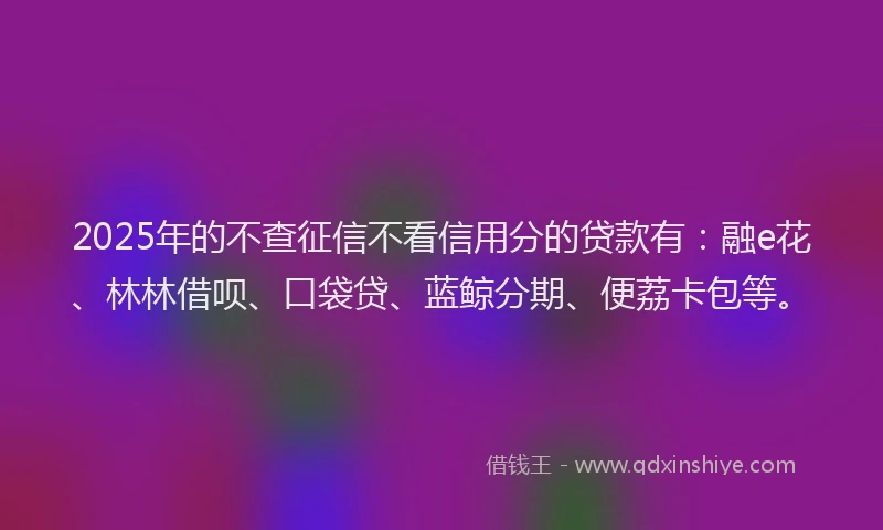 2025年的不查征信不看信用分的贷款有：融e花、林林借呗、口袋贷、蓝鲸分期、便荔卡包等。