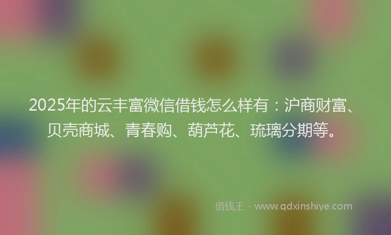 2025年的云丰富微信借钱怎么样有：沪商财富、贝壳商城、青春购、葫芦花、琉璃分期等。