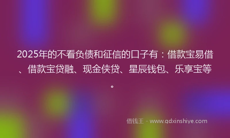 2025年的不看负债和征信的口子有：借款宝易借、借款宝贷融、现金侠贷、星辰钱包、乐享宝等。
