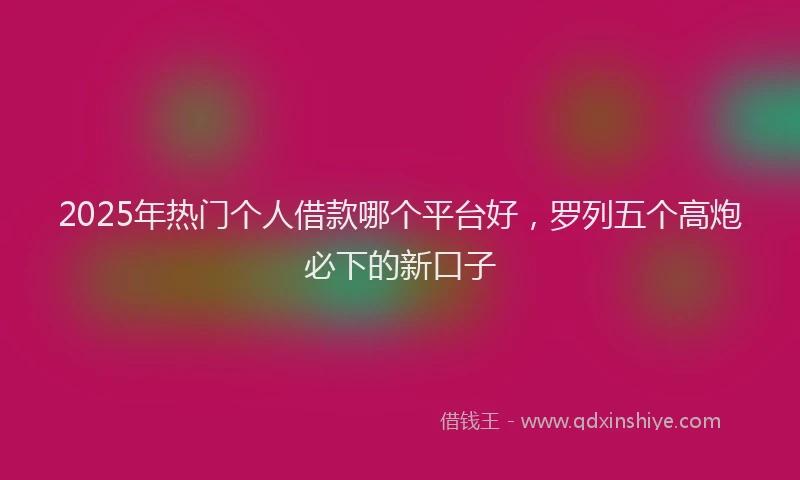 2025年热门个人借款哪个平台好，罗列五个高炮必下的新口子