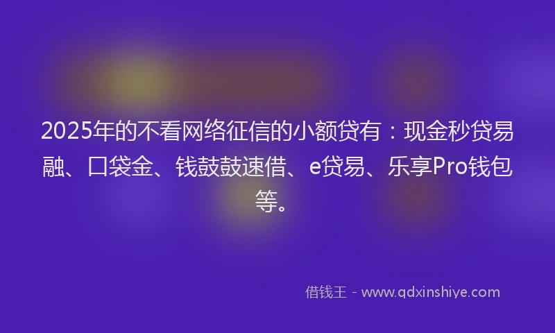 2025年的不看网络征信的小额贷有：现金秒贷易融、口袋金、钱鼓鼓速借、e贷易、乐享Pro钱包等。