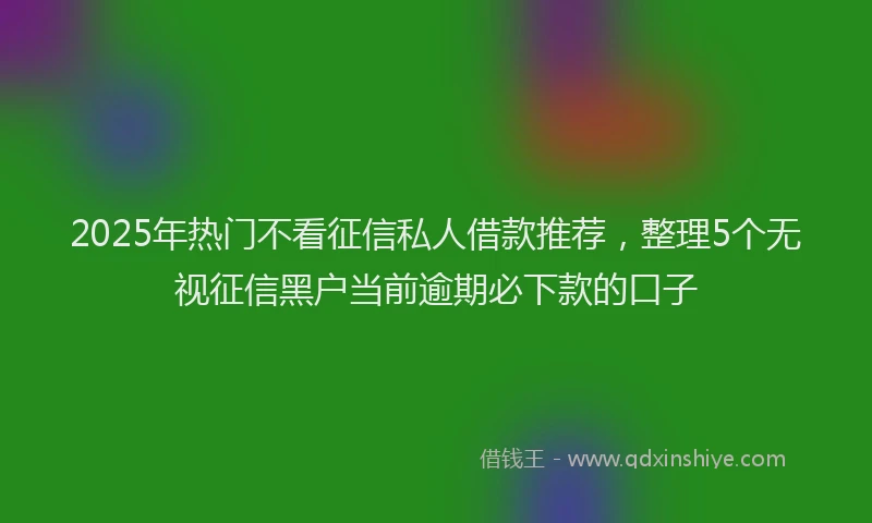 2025年热门不看征信私人借款推荐，整理5个无视征信黑户当前逾期必下款的口子