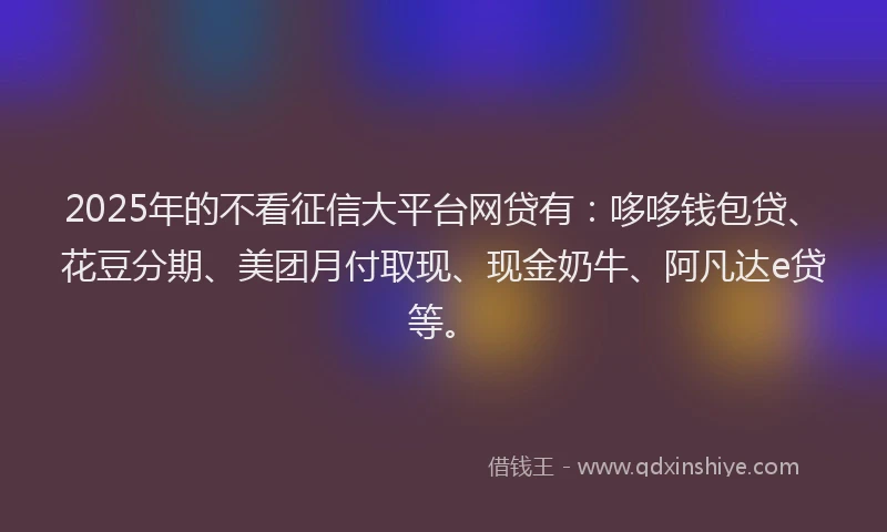 2025年的不看征信大平台网贷有：哆哆钱包贷、花豆分期、美团月付取现、现金奶牛、阿凡达e贷等。