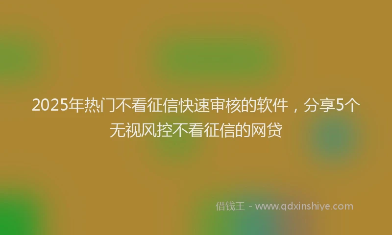2025年热门不看征信快速审核的软件，分享5个无视风控不看征信的网贷
