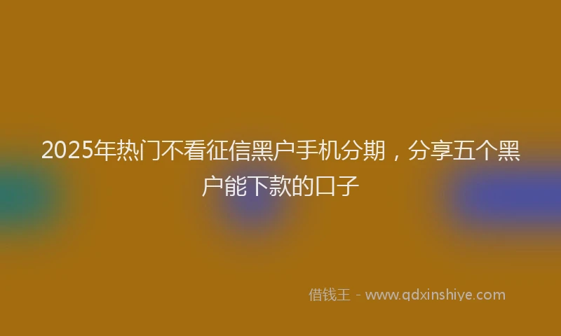 2025年热门不看征信黑户手机分期，分享五个黑户能下款的口子