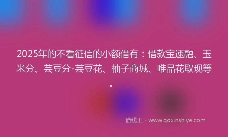 2025年的不看征信的小额借有：借款宝速融、玉米分、芸豆分-芸豆花、柚子商城、唯品花取现等。