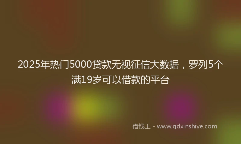 2025年热门5000贷款无视征信大数据，罗列5个满19岁可以借款的平台
