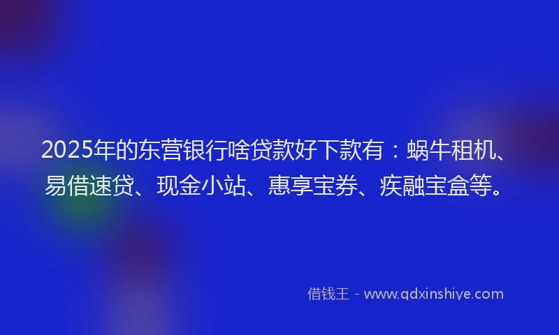 2025年的东营银行啥贷款好下款有：蜗牛租机、易借速贷、现金小站、惠享宝券、疾融宝盒等。