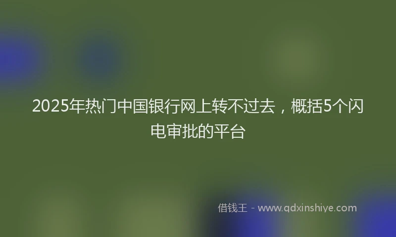 2025年热门中国银行网上转不过去，概括5个闪电审批的平台
