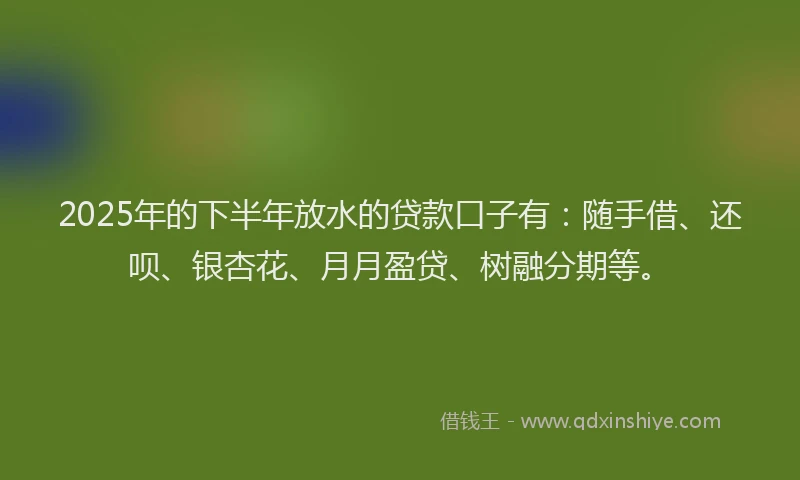 2025年的下半年放水的贷款口子有：随手借、还呗、银杏花、月月盈贷、树融分期等。