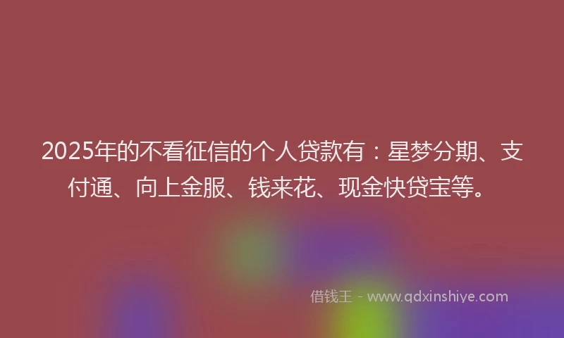 2025年的不看征信的个人贷款有：星梦分期、支付通、向上金服、钱来花、现金快贷宝等。