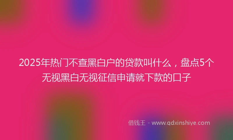 2025年热门不查黑白户的贷款叫什么，盘点5个无视黑白无视征信申请就下款的口子